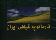 دومین جلد فارماکوپه گیاهی ایران در حال تدوین است