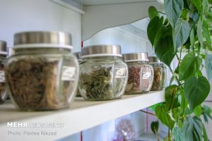 توسعه صنعت گیاهان دارویی با تدوین ۷ استاندارد